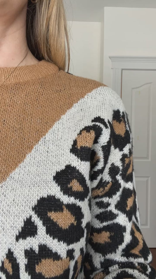 Leopard Chevron Sweater (M)